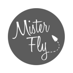 MISTER FLY
