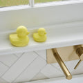BUBBLE DUCKS BATH TOYS SET OF 2