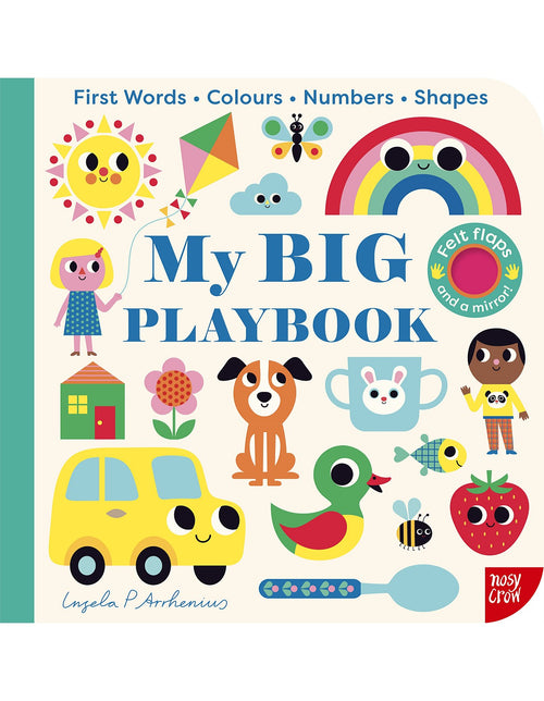 MY BIG PLAYBOOK