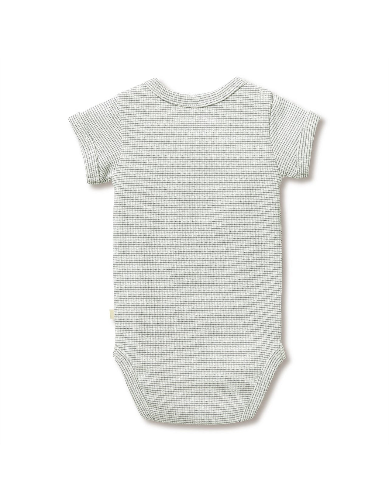 WILSON & FRENCHY ORGANIC STRIPE RIB BODYSUIT FERN