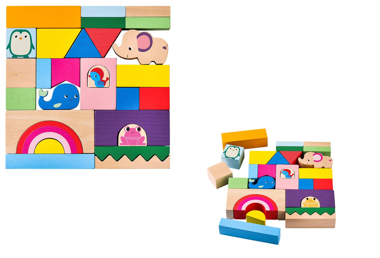 LITTLE GENIUS PLAY & LEARN SHAPED BLOCKS
