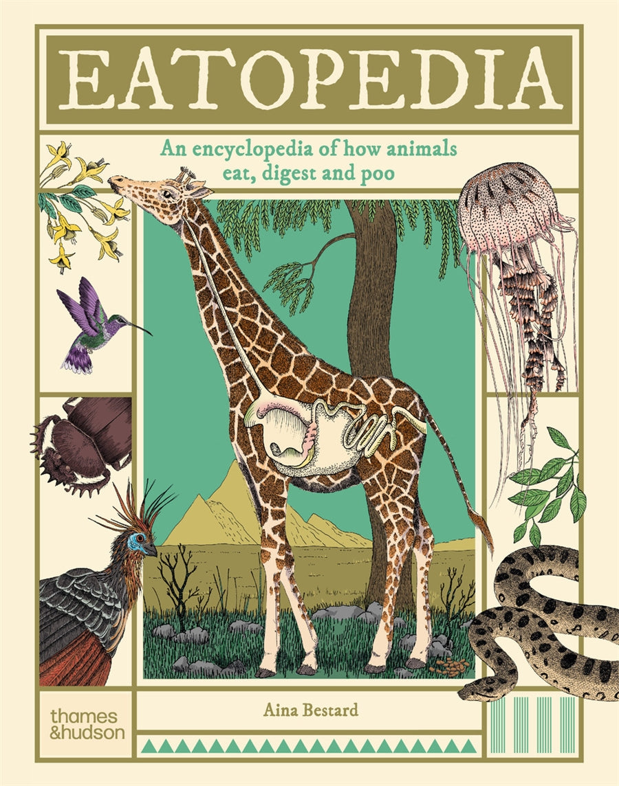 EATOPEDIA