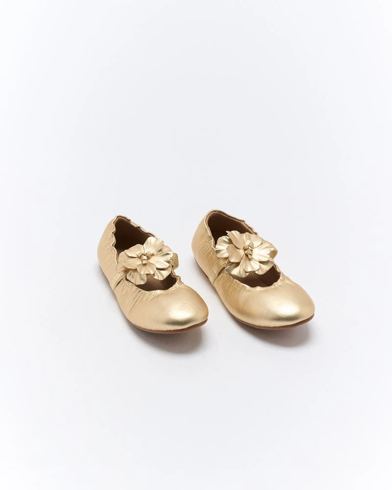 WALNUT DAISY BALLET SOFT GOLD