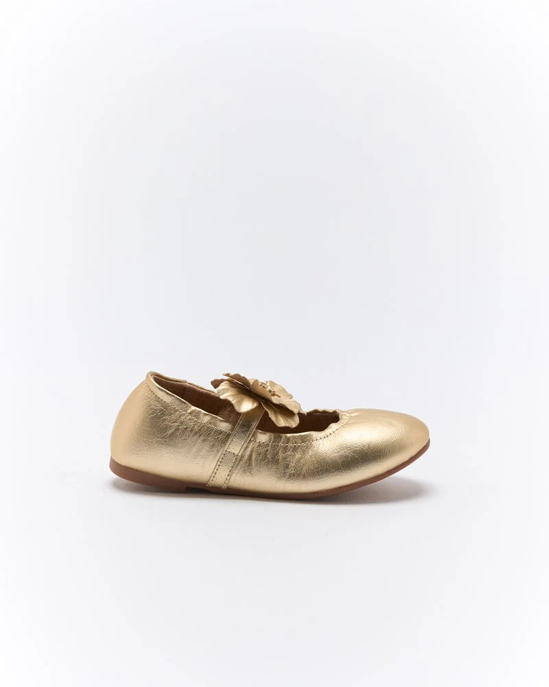 WALNUT DAISY BALLET SOFT GOLD