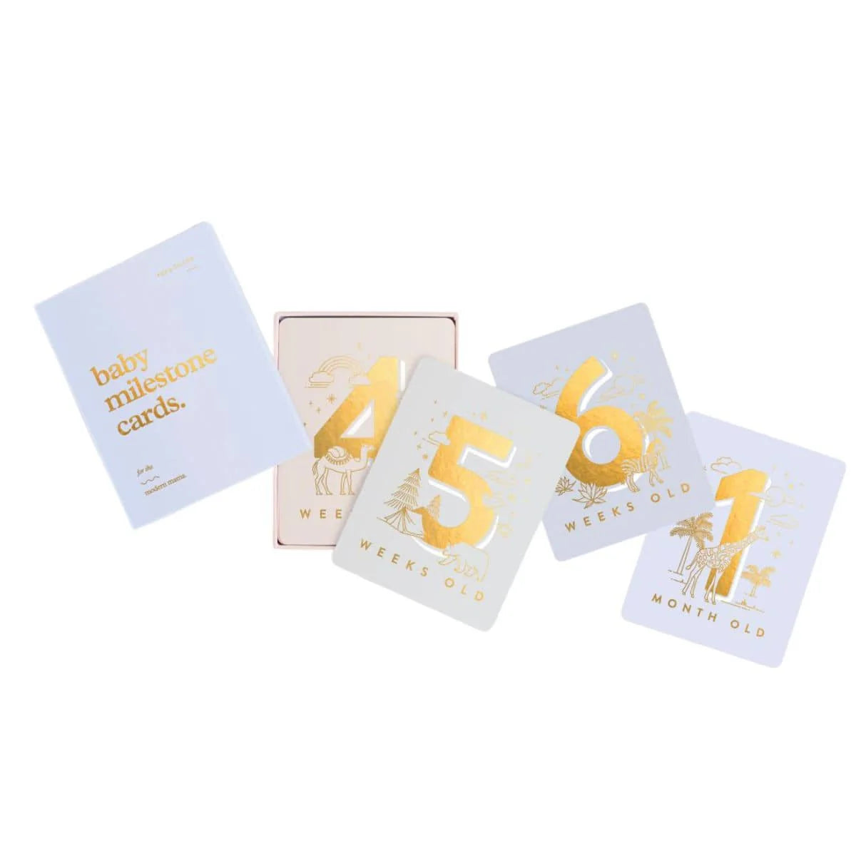 FOX & FALLOW BABY MILESTONE CARDS - POWDER BLUE