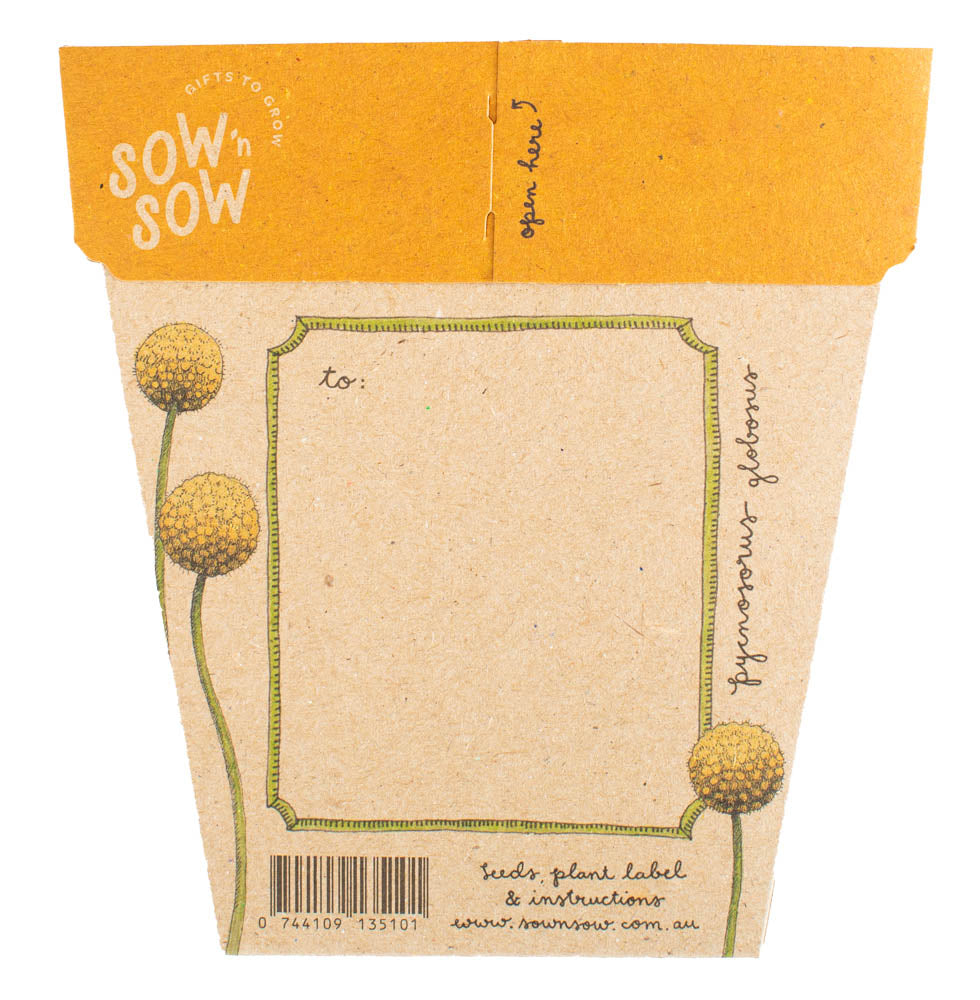 SOW 'N SOW BILLY BUTTONS SEEDS