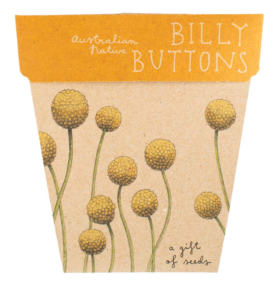SOW 'N SOW BILLY BUTTONS SEEDS