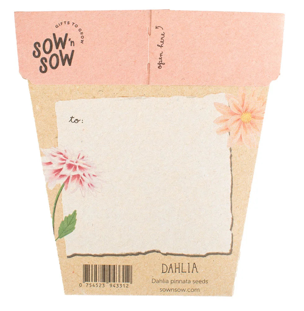SOW 'N SOW DAHLIA SEEDS