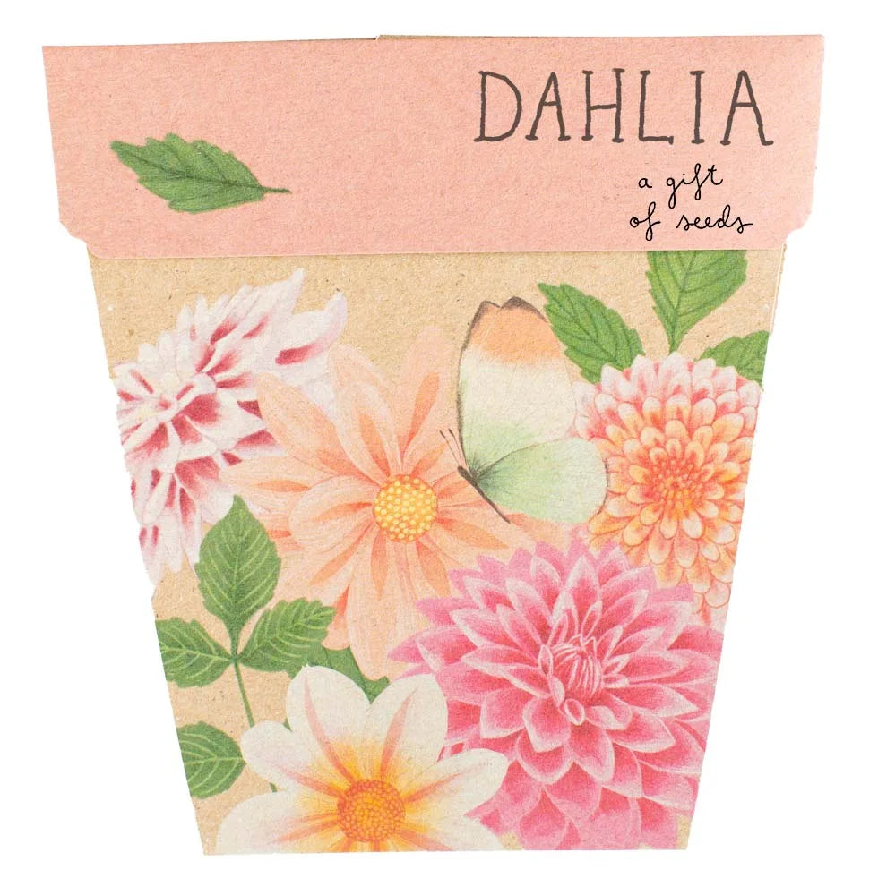 SOW 'N SOW DAHLIA SEEDS