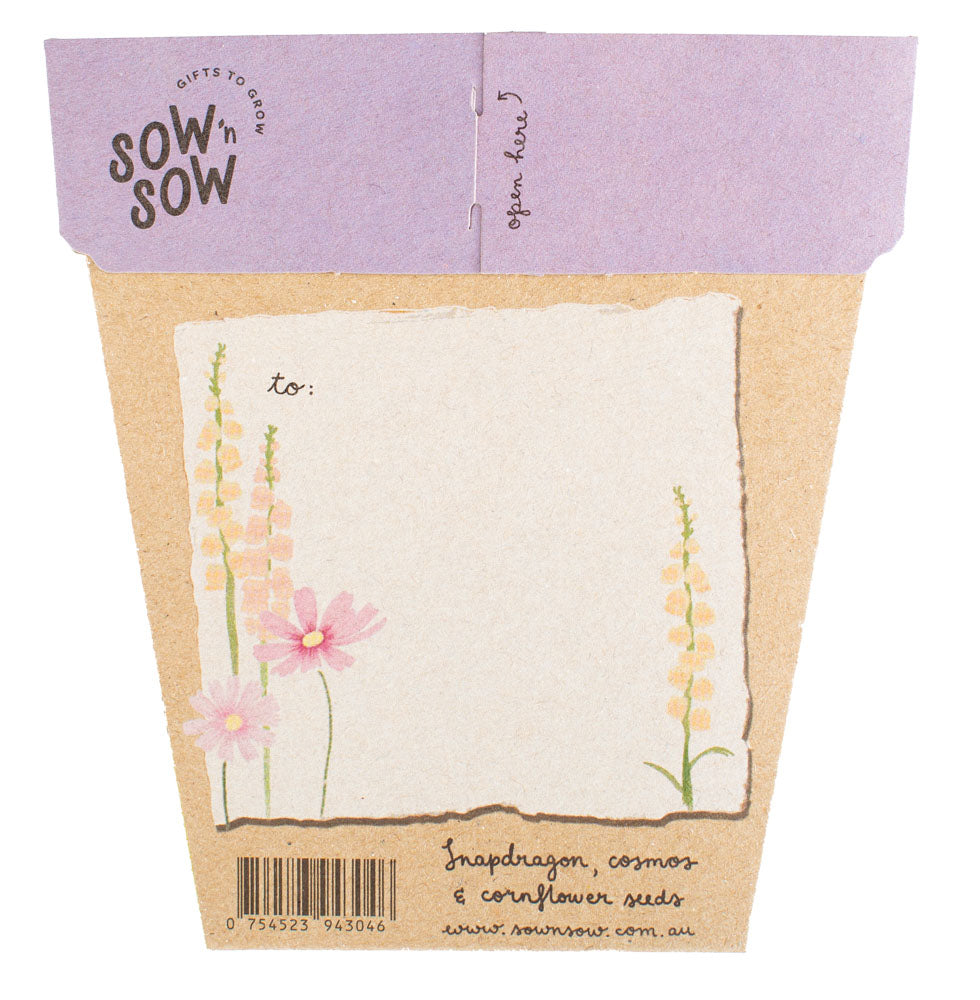 SOW 'N SOW HAPPY BIRTHDAY PICNIC GIFT SEEDS