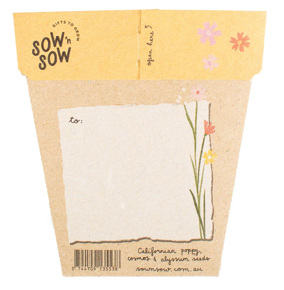 SOW 'N SOW WILDFLOWER SEEDS