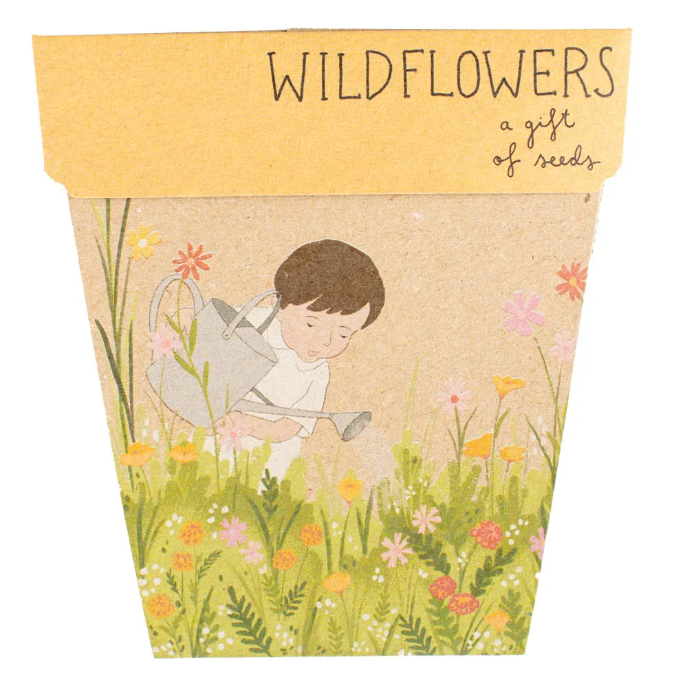 SOW 'N SOW WILDFLOWER SEEDS