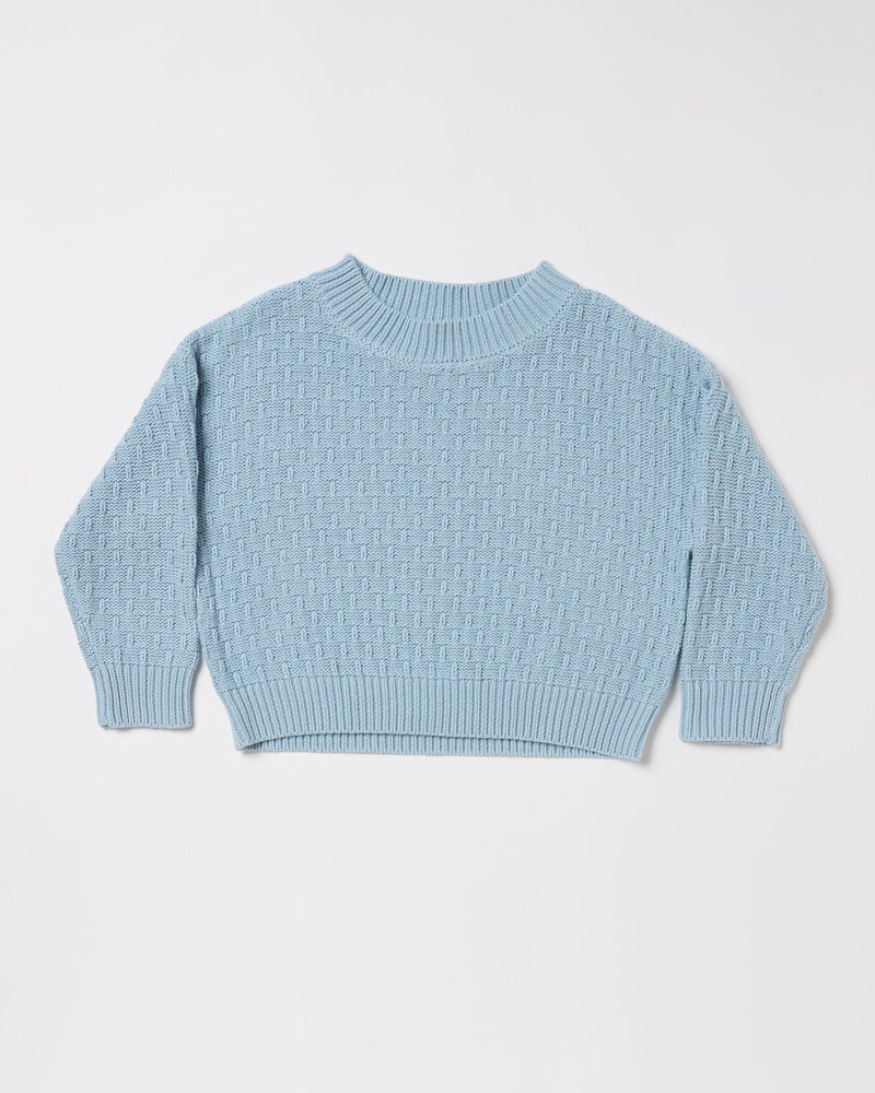 WALNUT DOVE JUMPER BABY BLUE
