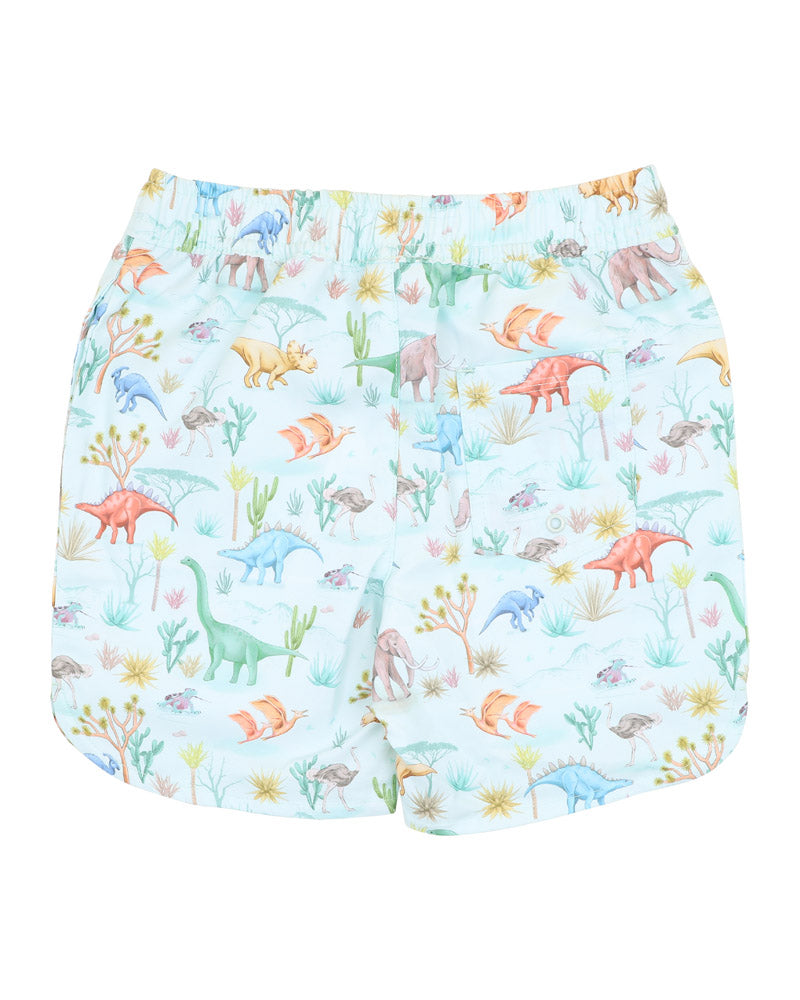 FOX & FINCH DENVER PRINT BOARD SHORTS