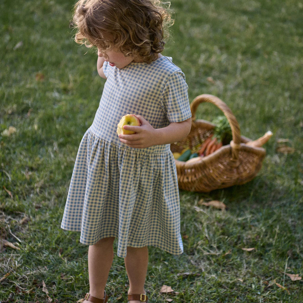 NATURE BABY SATURDAY DRESS BLUE GINGHAM