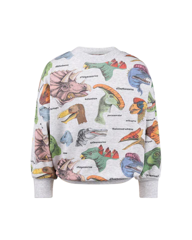 ROCK YOUR KID DINO BRIGHT SWEATSHIRT