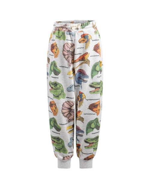ROCK YOUR KID DINO BRIGHT TRACKPANTS
