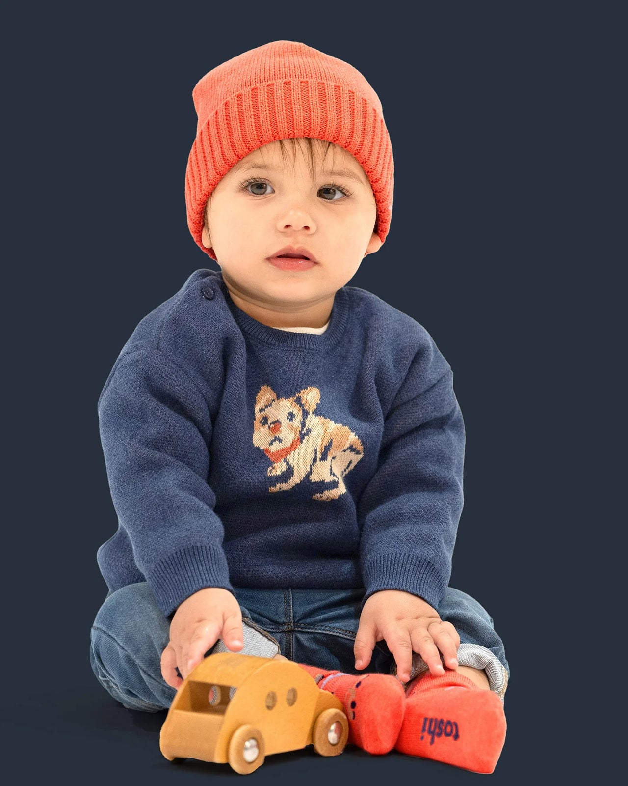 TOSHI ORGANIC PULLOVER STORYTIME FRENCHIE