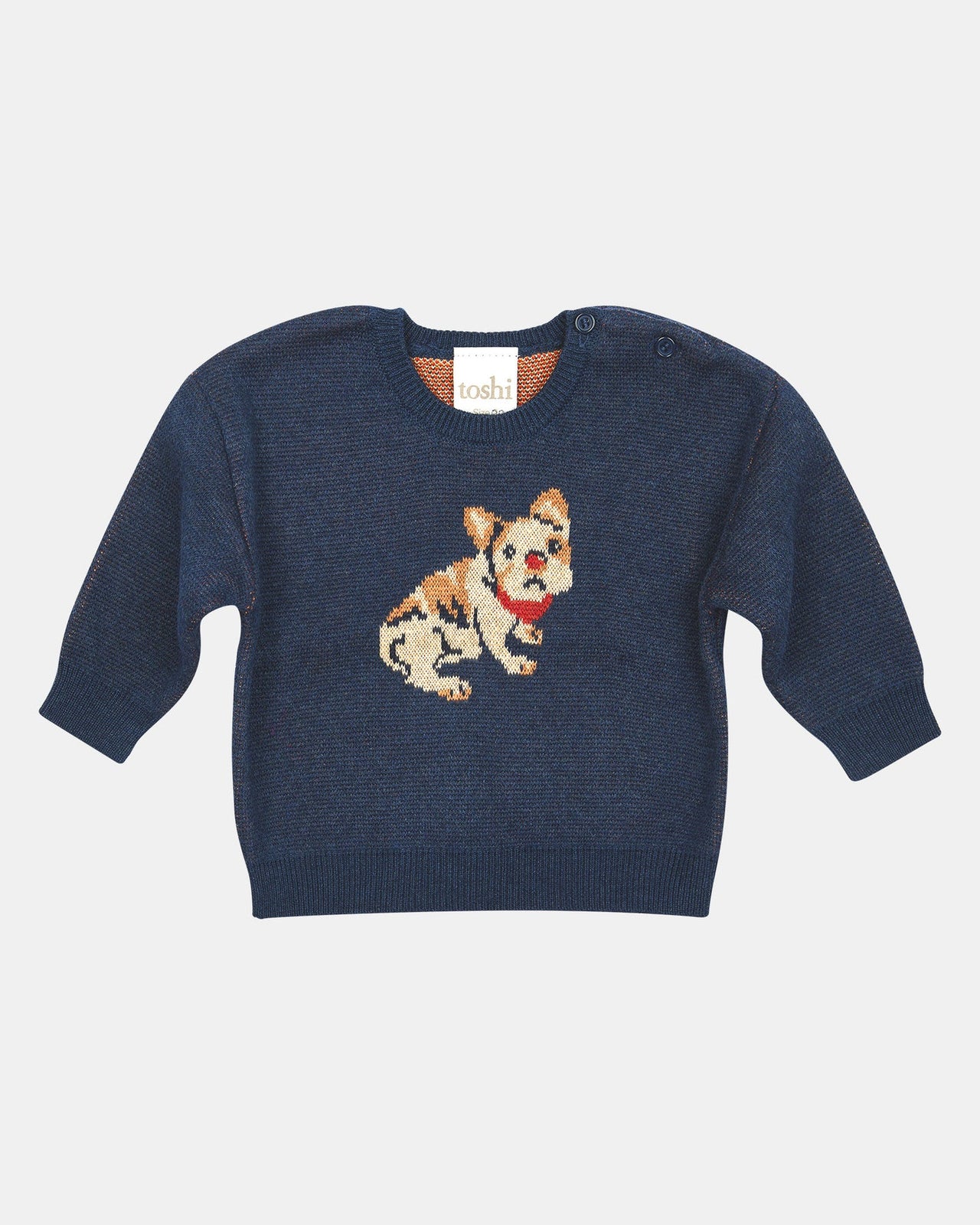 TOSHI ORGANIC PULLOVER STORYTIME FRENCHIE