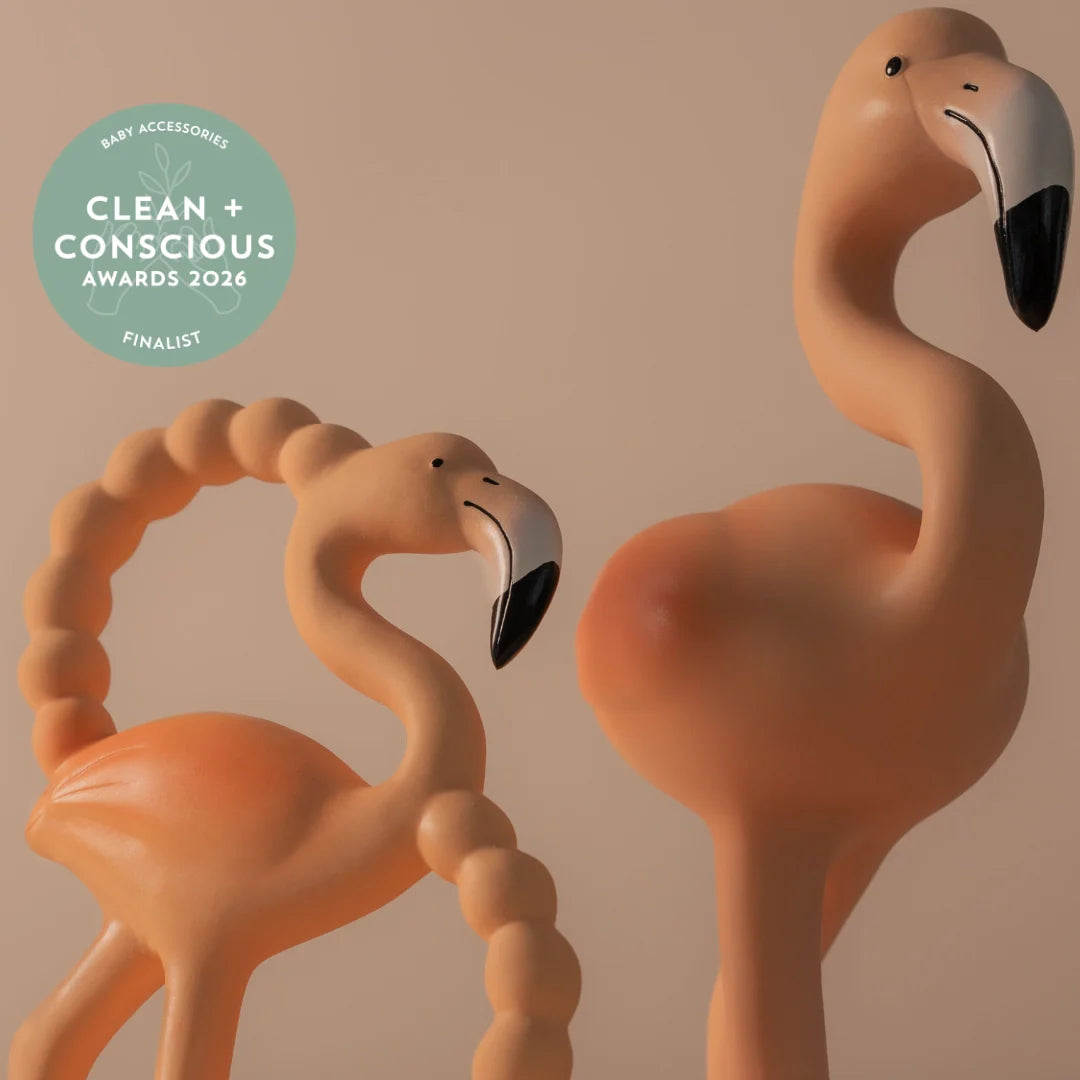 LINGO THE FLAMINGO FLOCK TOGETHER SET