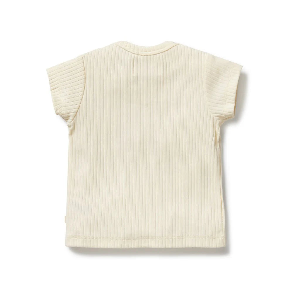WILSON & FRENCHY LEMON LEAF EMBROIDERED ORGANIC TEE
