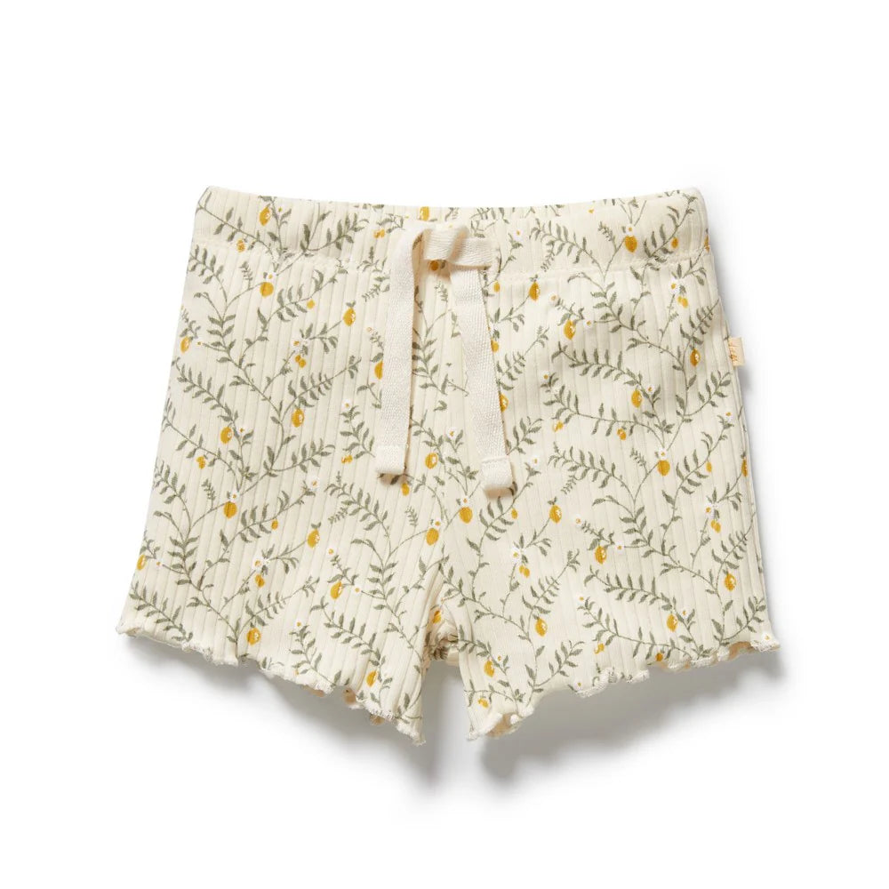 WILSON & FRENCHY LEMON LEAF ORGANIC SHORT