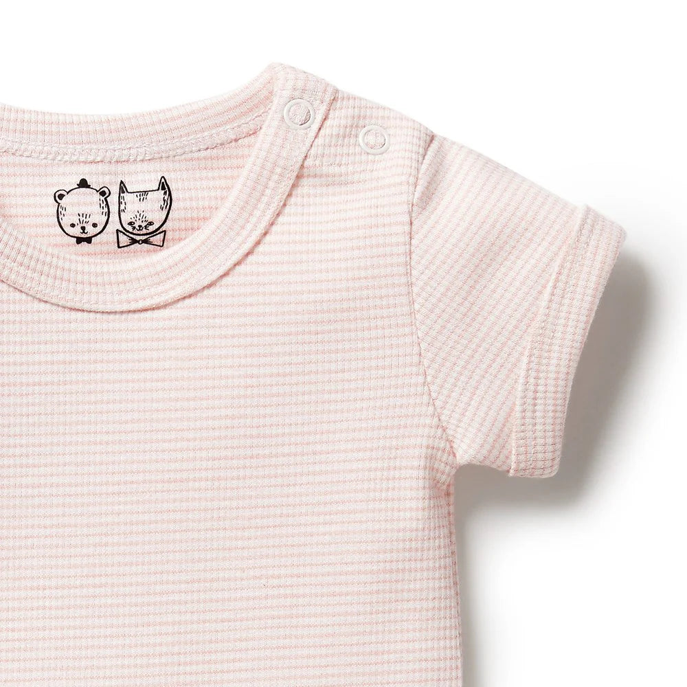 WILSON & FRENCHY ORG STRIPE RIB BODYSUIT CANTALOUPE