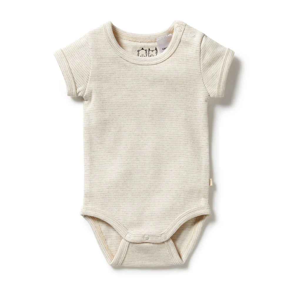 WILSON & FRENCHY ORGANIC STRIPE RIB BODYSUIT OATMEAL