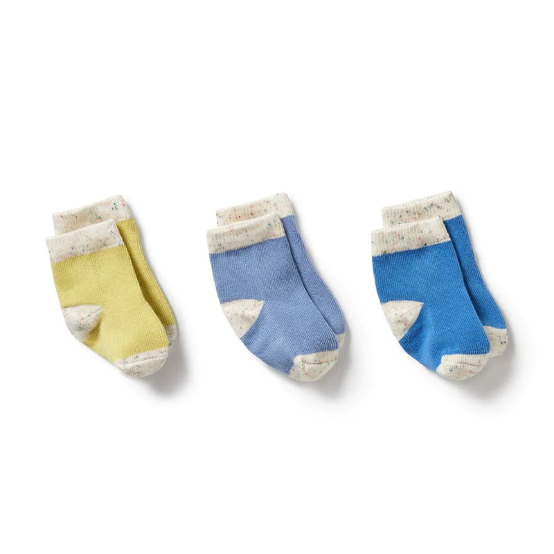 WILSON & FRENCHY 3 PACK SOCKS ENDIVE/BLUEBELL/BLUE