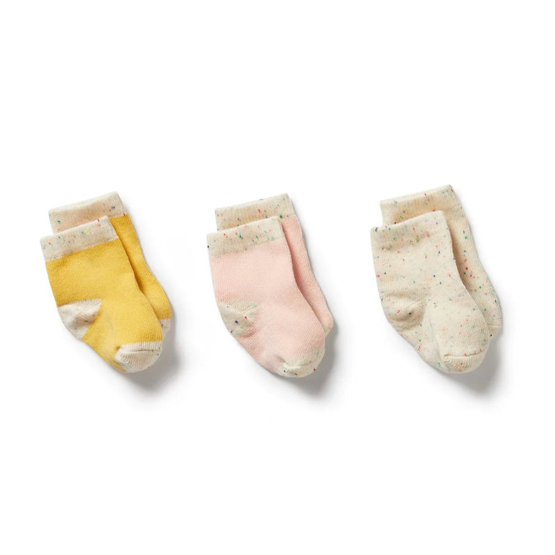 WILSON & FRENCHY 3 PACK SOCKS DIJON/PINK/FLECK