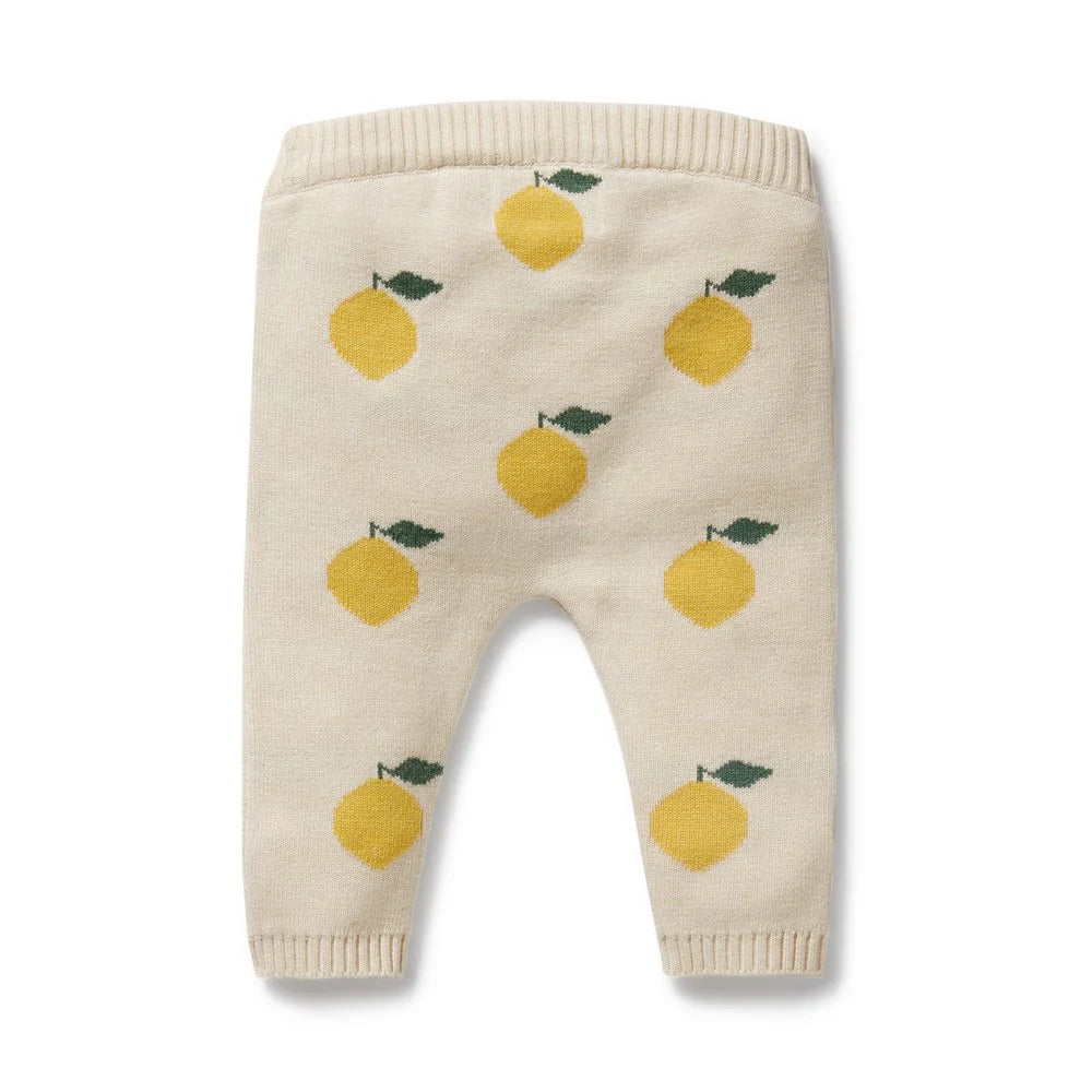 WILSON & FRENCHY ORG KNIT LEGGING LEMONY