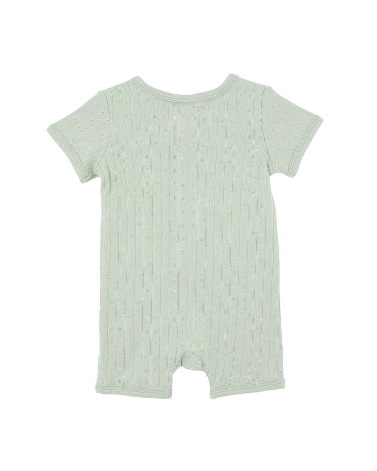 BEBE SAGE ORGANIC POINTELLE SS ZIPSUIT