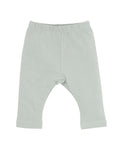BEBE MOLLY LEGGINGS