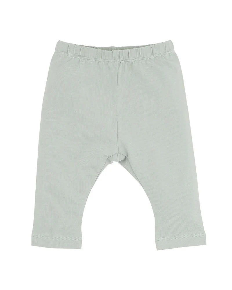 BEBE MOLLY LEGGINGS