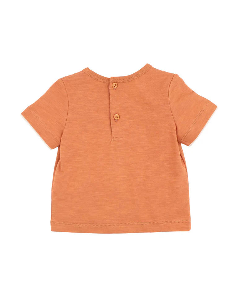 BEBE IVAN 3D TENT TEE