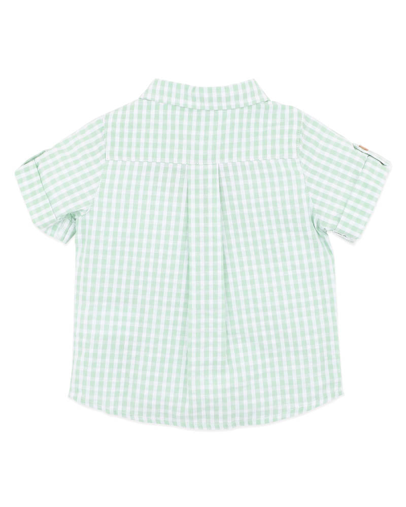 BEBE ROMAN GREEN CHECK SS SHIRT