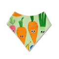 HALCYON NIGHTS HAPPY HARVEST BIB