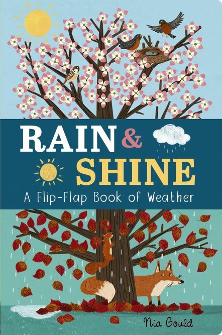 RAIN AND SHINE: A FLIP FLAP BOOK OF WEATHER