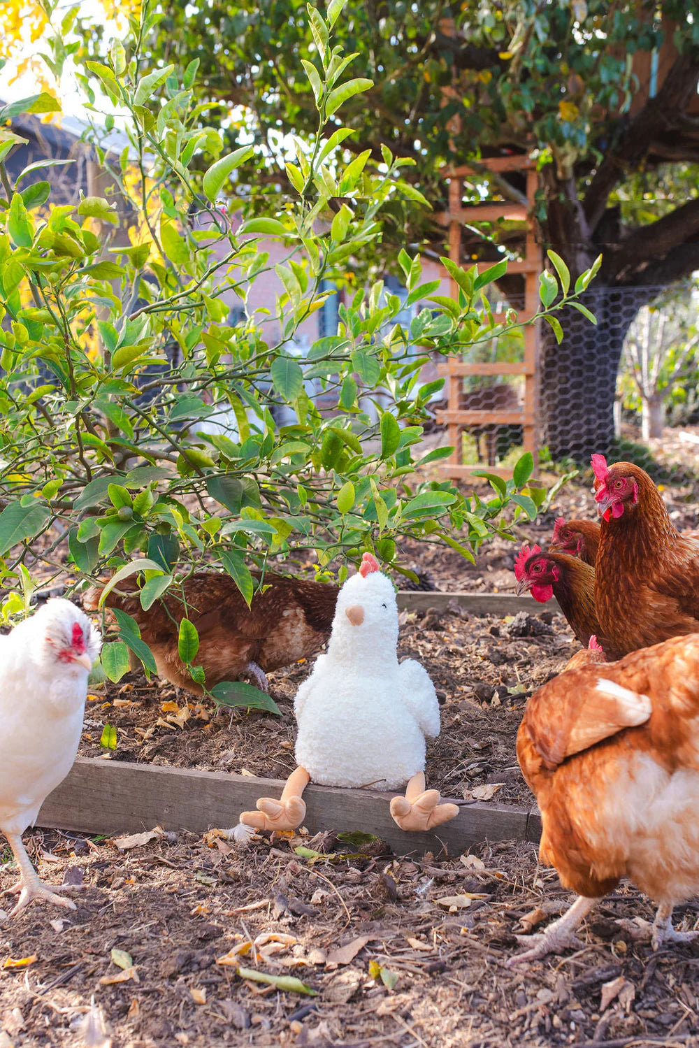 NANY HUCHY HENRIETTA THE HEN RATTLE CREAM
