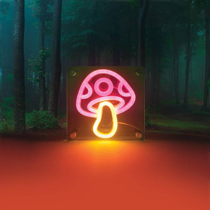 ACRYLIC LIGHT TOADSTOOL