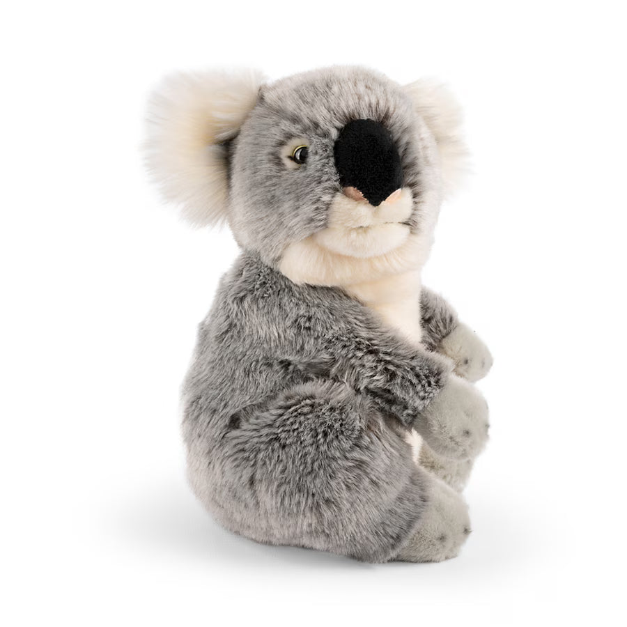 LIVING NATURE - KOALA