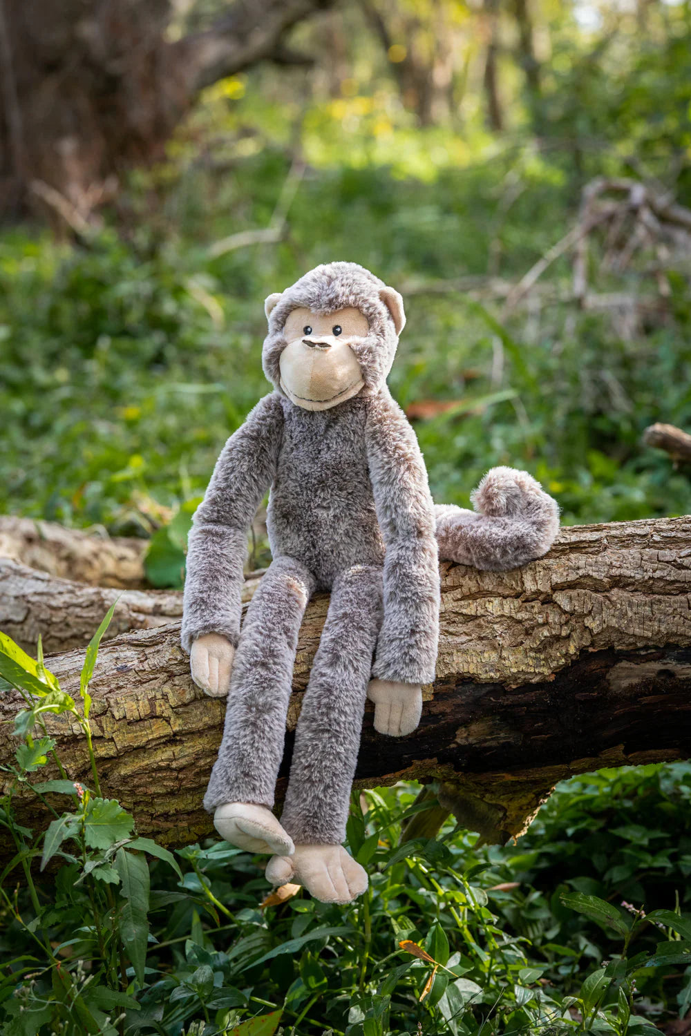 NANA HUCHY MANI THE MONKEY