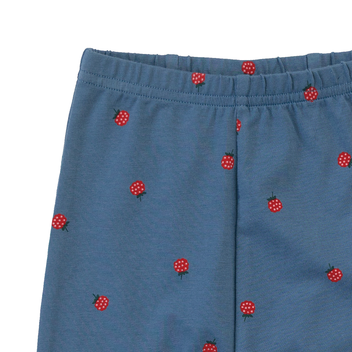 NATURE BABY LEGGINGS RASPBERRY BLUE PRINT