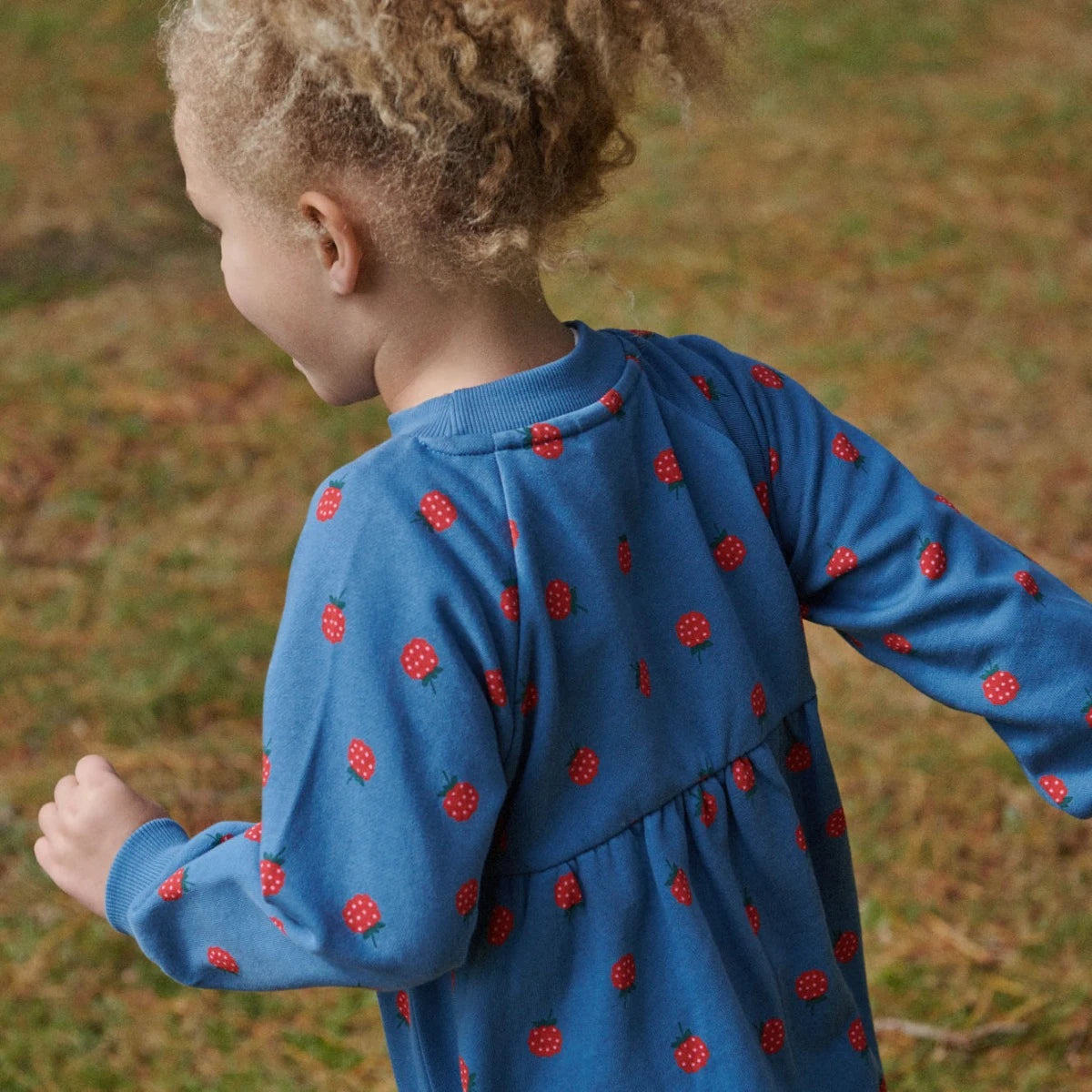 NATURE BABY INES DRESS RASPBERRY BLUE PRINT