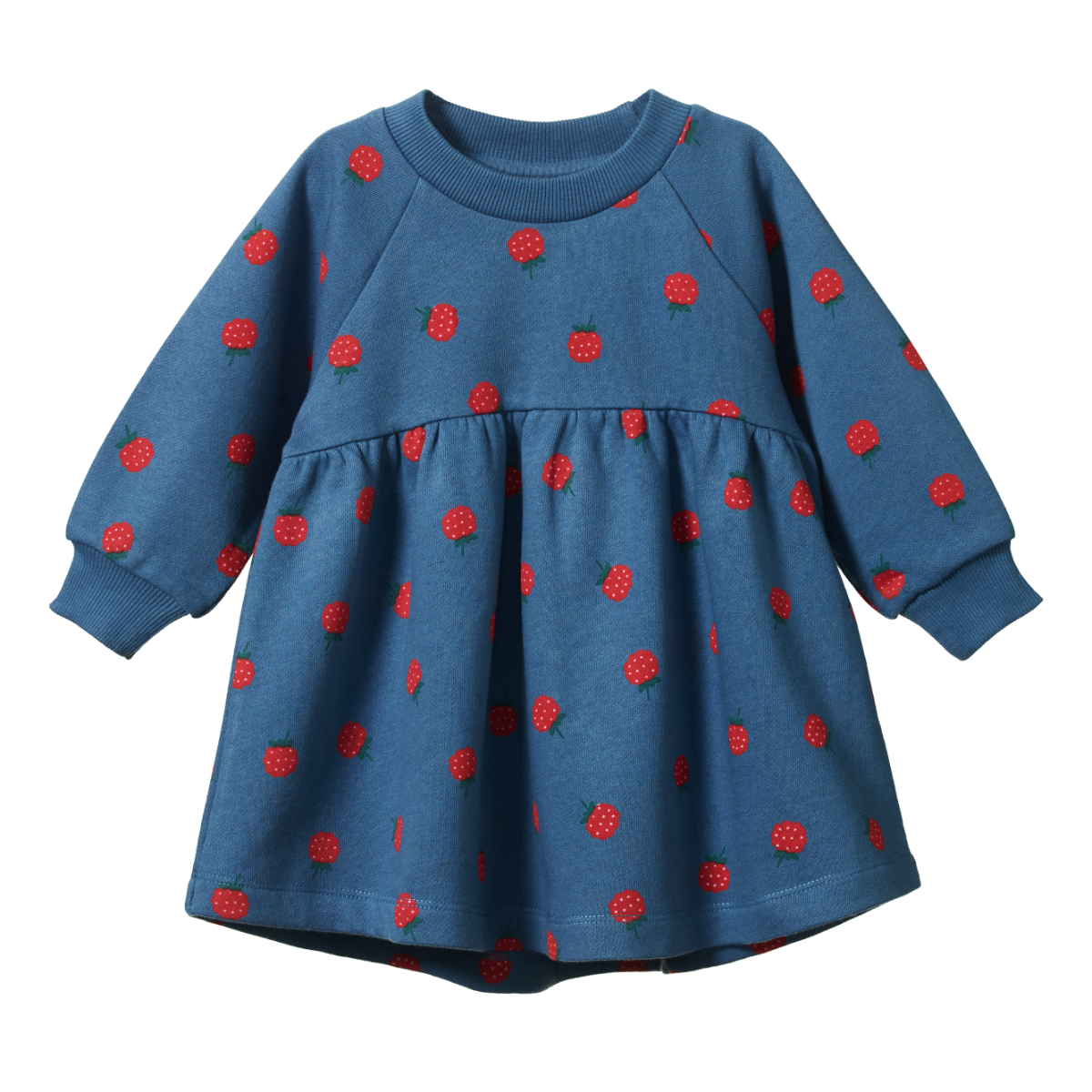 NATURE BABY INES DRESS RASPBERRY BLUE PRINT