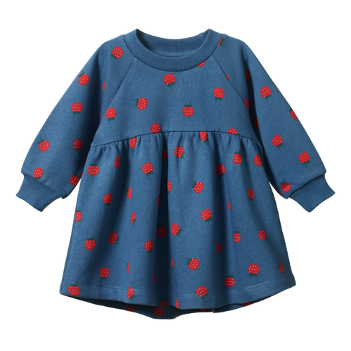 NATURE BABY INES DRESS RASPBERRY BLUE PRINT