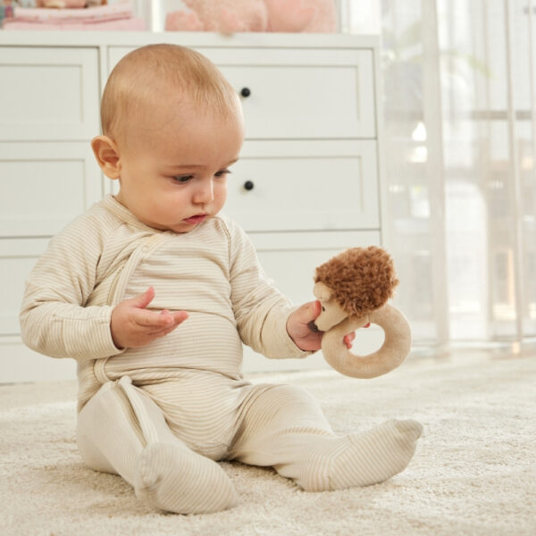 PEANUT HEDGEHOG RATTLE