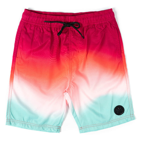 ALPHABET SOUP SURGE BOARDSHORTS