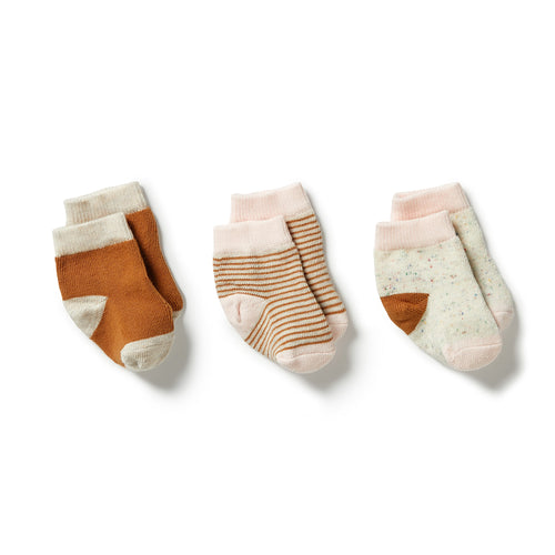 WILSON & FRENCHY 3 PACK SOCK SPICE/BLUSH/OATMEAL
