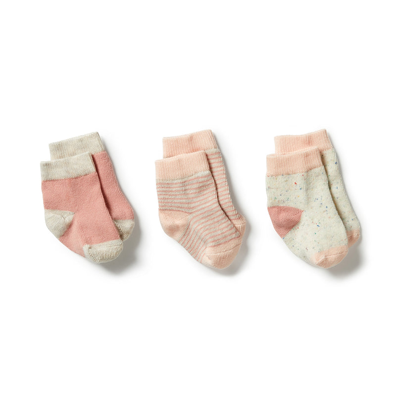 WILSON & FRENCHY ORGANIC 3 PACK SOCK PEACH/SHELL/OATMEAL